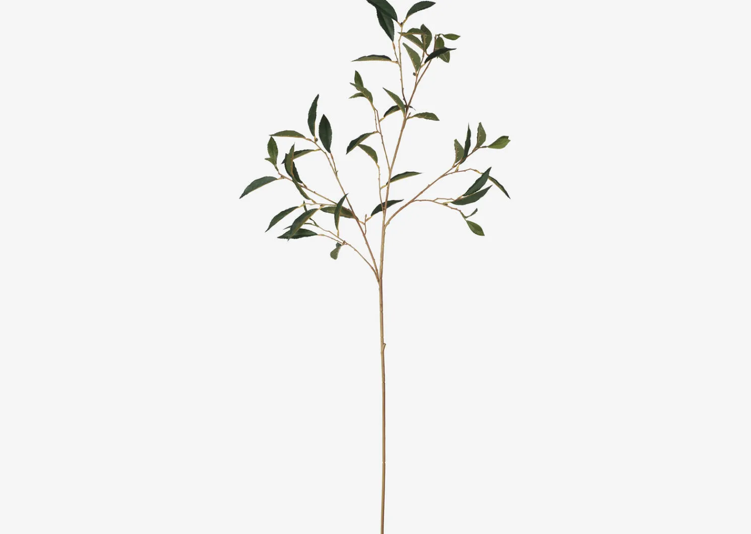 Urban Barn Abrell Vase & Elena Laurel Spray Branches- Vases & Planters