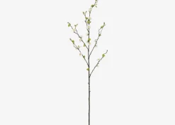 Urban Barn Aliana Plum Blossom Branch- Blooms & Branches