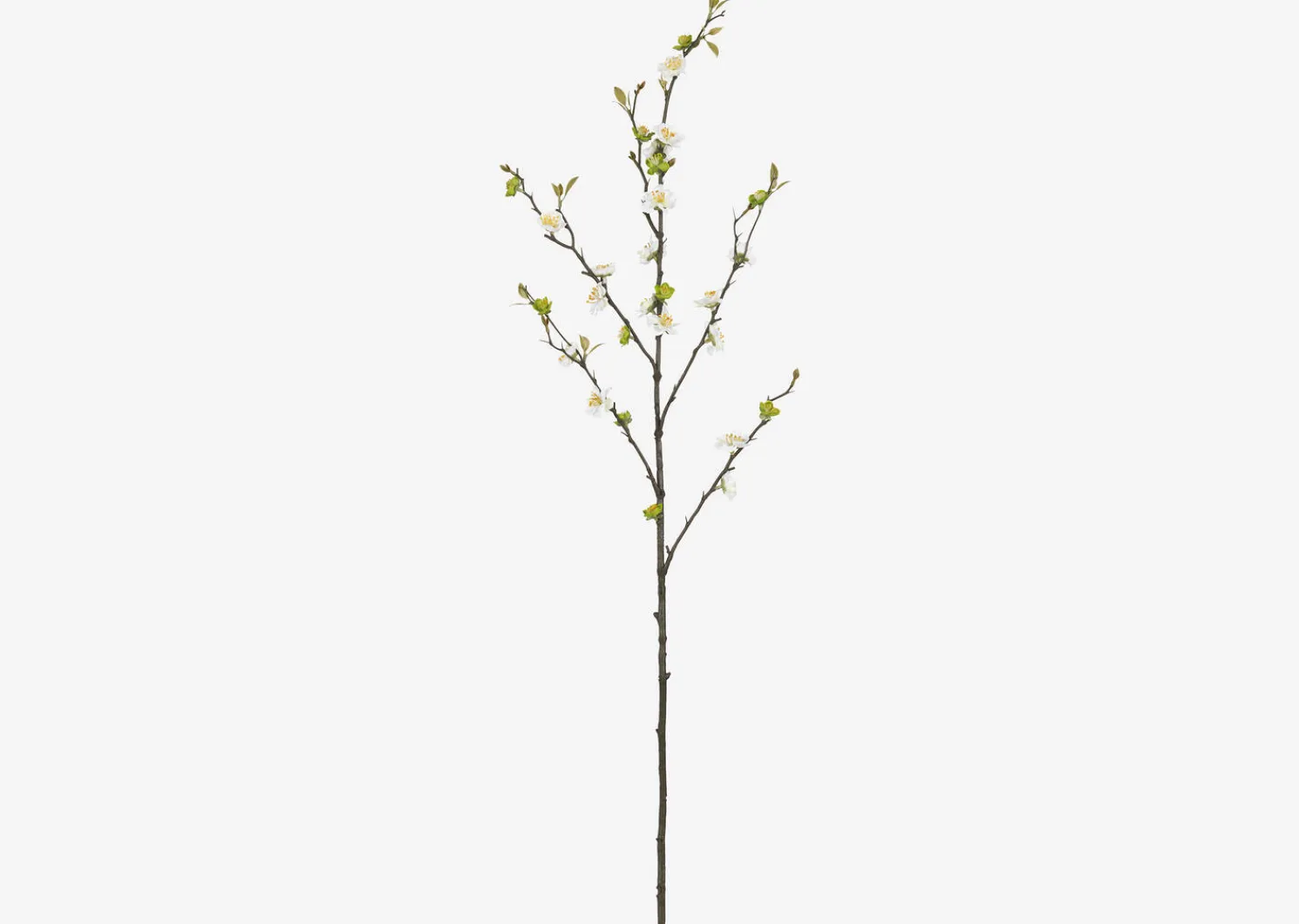 Urban Barn Aliana Plum Blossom Branch- Blooms & Branches