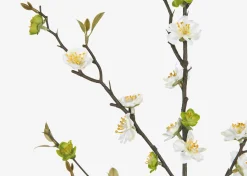 Urban Barn Aliana Plum Blossom Branch- Blooms & Branches