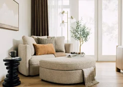 Urban Barn Alma Chair- Accent Chairs