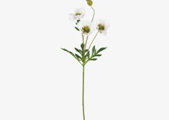 Urban Barn Amity Poppy Stem- Blooms & Branches