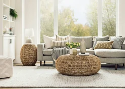 Urban Barn Anola Rug Ivory- Area Rugs