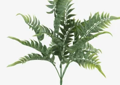 Urban Barn Australia Fern Branch- Blooms & Branches