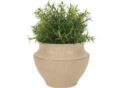 Urban Barn Barber Planter- Vases & Planters