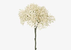 Urban Barn Beare Elderberry Stem- Blooms & Branches