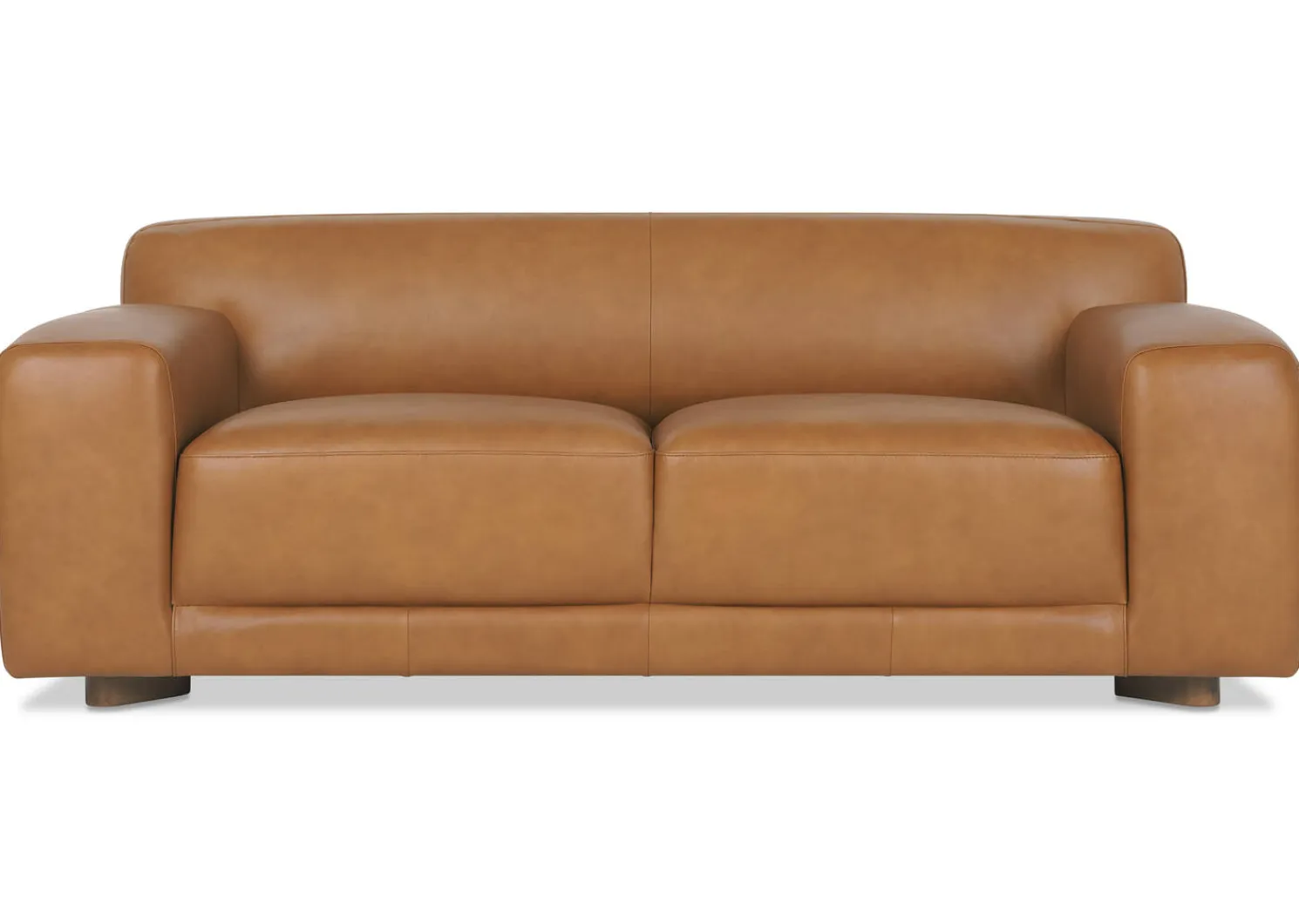 Urban Barn Beau Leather Sofa -Leo Tan- Sofas & Sectionals