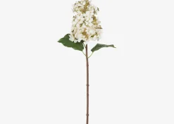 Urban Barn Beth Cone Hydrangea Stem White- Blooms & Branches