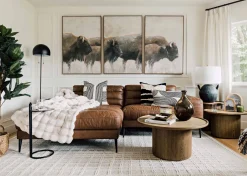 Urban Barn Bison Wall Art Set- Wall Art