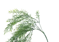 Urban Barn Bray Snapdragon Branch- Blooms & Branches