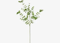 Urban Barn Cale Mini Eucalyptus Spray- Blooms & Branches