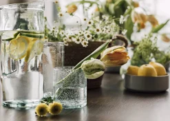 Urban Barn Camari Glass Organic- Glassware