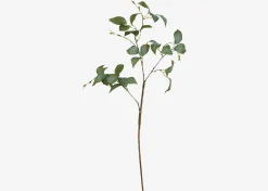 Urban Barn Camellia Leaf Branch- Blooms & Branches