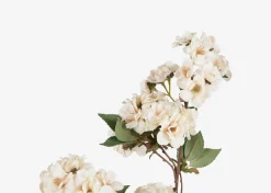 Urban Barn Canyon Vase & Kya Cherry Blossom Branches- Vases & Planters