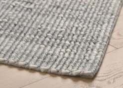 Urban Barn Casis Rug- Area Rugs