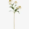 Urban Barn Cate Echinacea Stem Ivory- Blooms & Branches