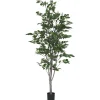 Urban Barn Claude Ficus Tree Potted- Blooms & Branches