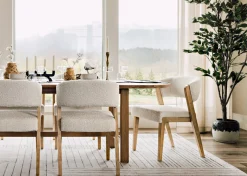 Urban Barn Claude Ficus Tree Potted- Blooms & Branches