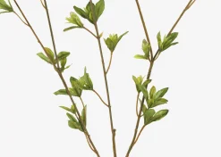 Urban Barn Creek Spring Leaf Branch- Blooms & Branches