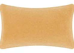 Urban Barn Daria Velvet Pillow- Pillows