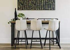 Urban Barn Dougal Reclaimed Wood Counter Console Table -- Console Tables