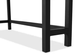 Urban Barn Dougal Reclaimed Wood Counter Console Table -- Console Tables