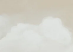 Urban Barn Drifting Wall Art- Wall Art