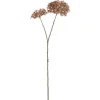 Urban Barn Dunne Allium Branch- Blooms & Branches