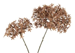 Urban Barn Dunne Allium Branch- Blooms & Branches