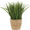 Urban Barn Edyn Grass Potted- Blooms & Branches