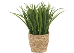 Urban Barn Edyn Grass Potted- Blooms & Branches