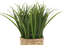 Urban Barn Edyn Grass Potted- Blooms & Branches