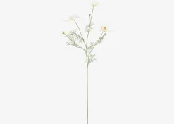 Urban Barn Elana Anemone Stem- Blooms & Branches