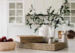 Urban Barn Elena Laurel Spray Branch- Blooms & Branches