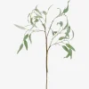 Urban Barn Eucalyptus Caesia Branch- Blooms & Branches