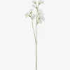 Urban Barn Fiori Sweet Pea Stem- Blooms & Branches