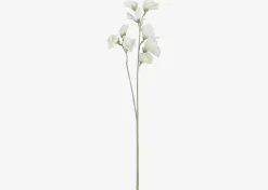 Urban Barn Fiori Sweet Pea Stem- Blooms & Branches