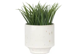 Urban Barn Fleur Planter- Vases & Planters