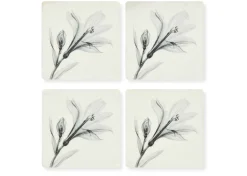 Urban Barn Floral Coaster Set- Table Linens & Coasters