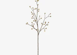 Urban Barn Gail Prunus Branch- Blooms & Branches