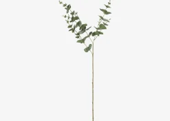 Urban Barn Gibb Eucalyptus Stem- Blooms & Branches