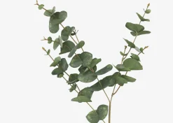 Urban Barn Gibb Eucalyptus Stem- Blooms & Branches