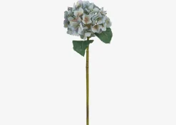 Urban Barn Gretel Hydrangea Stem- Blooms & Branches