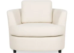 Urban Barn Harriet Armchair- Accent Chairs