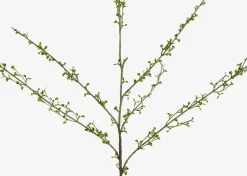 Urban Barn Hopper Mini Spring Branch- Blooms & Branches