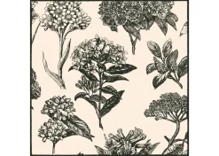 Urban Barn Hydrangea Napkin Set of 6 Natural/Black- Table Linens & Coasters