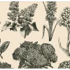 Urban Barn Hydrangea Placemat Natural/Black- Table Linens & Coasters