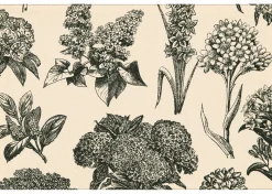 Urban Barn Hydrangea Placemat Natural/Black- Table Linens & Coasters