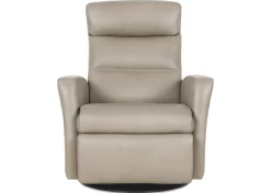 Urban Barn Jasper Leather Recliner- Accent Chairs