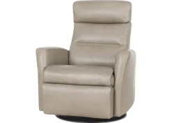 Urban Barn Jasper Leather Recliner- Accent Chairs